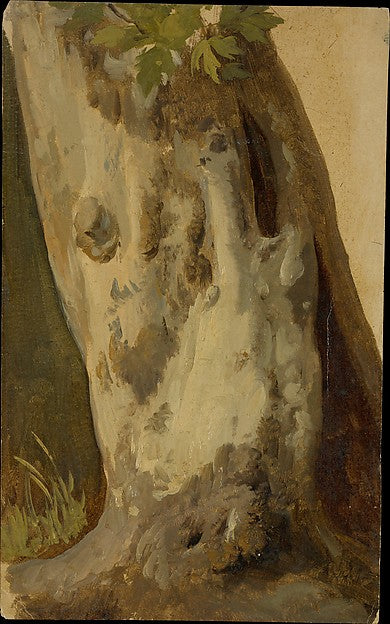 Simon Denis:Plane Tree -16x12"(A3) Poster