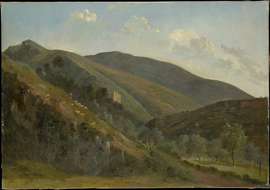 :Giant Kangaroo from the Zoo Animals series issued by The Ph-16x12"(A3) Poster