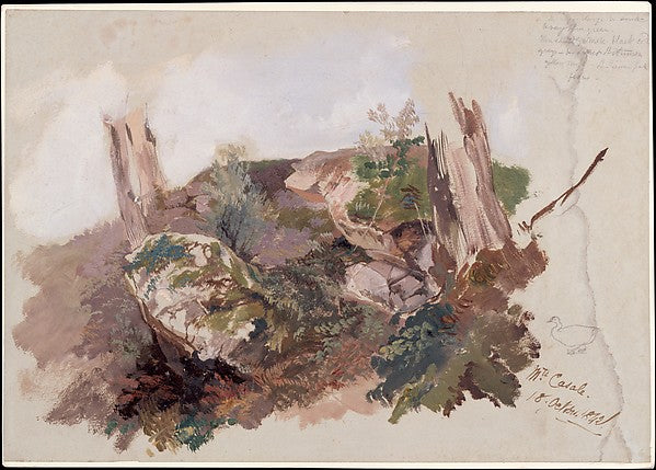 Edward Lear:Study of Rocks Shrubs and Tree Trunks at Monte C-16x12"(A3) Poster