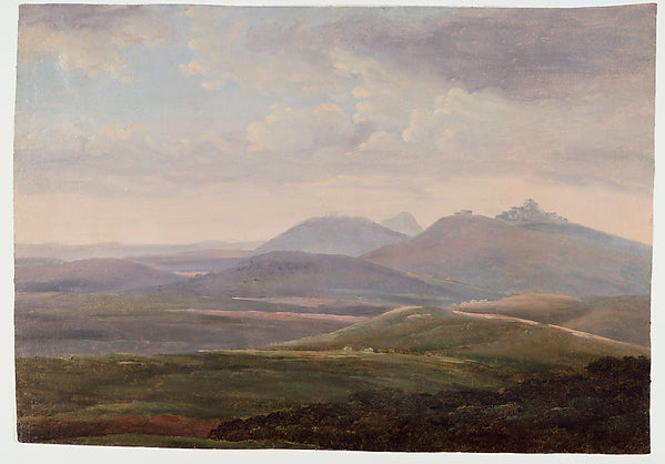 :Rose-Breasted Wood Robin from the Zoo Birds series issued b-16x12"(A3) Poster