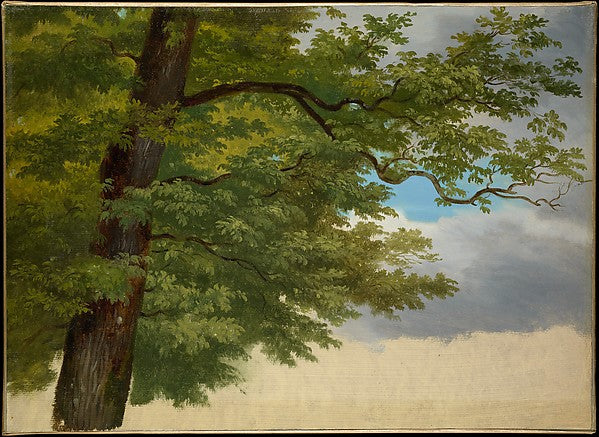 Attributed to George Augustus Wallis:Tree Foliage -16x12"(A3) Poster