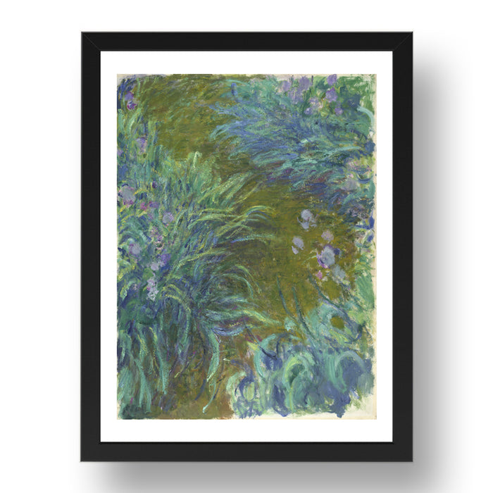 Claude Oscar Monet: Irises, Poster in 17x13