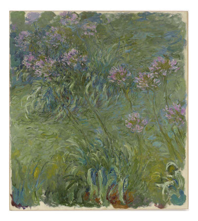 Claude Monet - Agapanthus, 16x12" (A3) Poster Print