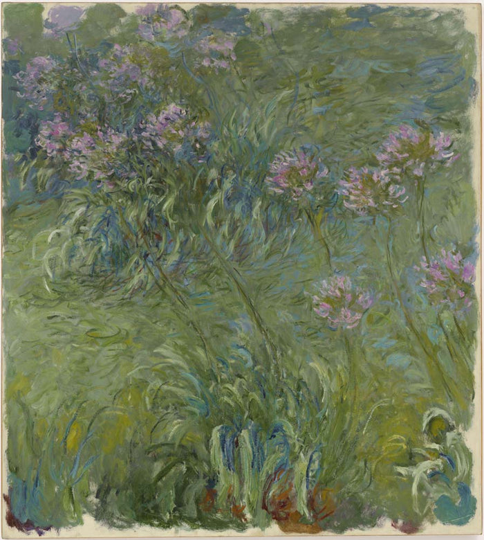 Claude Monet - Agapanthus, vintage art, A3 (16x12