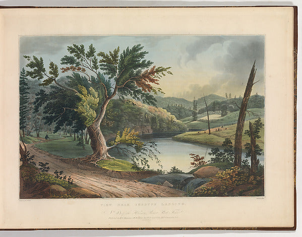 after William Guy Wall ):View Near Jessup's Landing 1821–22-16x12"(A3) Poster