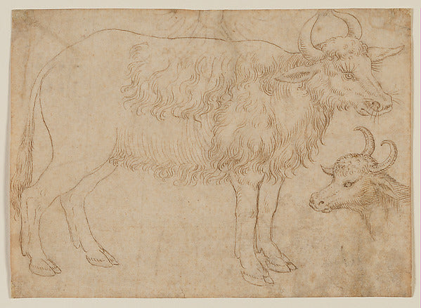The Veneto:Study of Two Bovine Animals mid-15th century-16x12"(A3) Poster