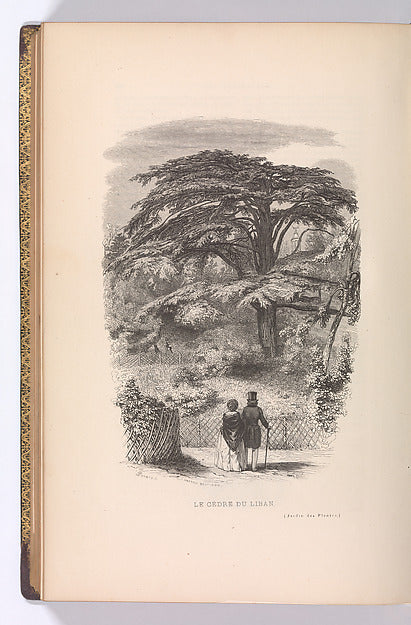 Le Jardin des Plantes  Descriptions et Moeurs des Mammiferes 1,16x12"(A3) Poster
