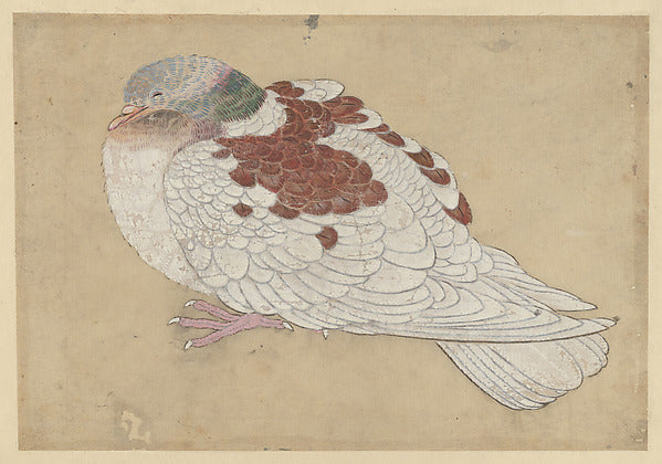 Bird 18th cent-In the Style of Ogawa Haritsu , 16x12"(A3) Poster