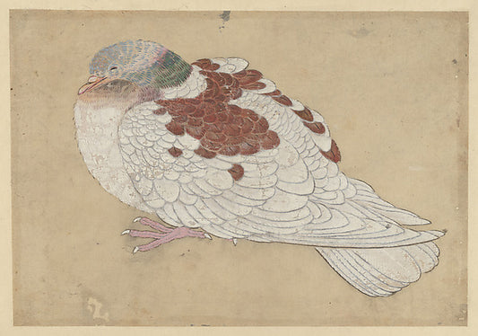 Bird 18th cent-In the Style of Ogawa Haritsu , 16x12"(A3) Poster