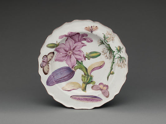 :Botanical plate with a flowering eggplant c1755-16x12"(A3) Poster