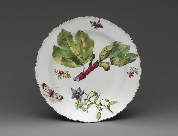 :Botanical plate with spray of fruiting fig c1755-16x12"(A3) Poster