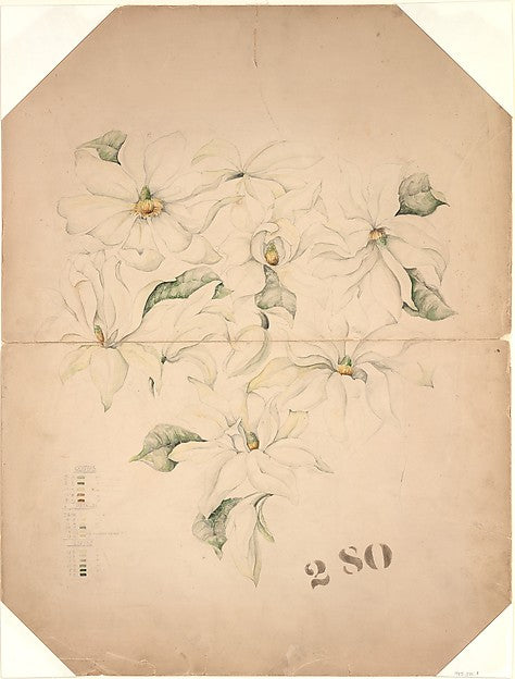 Drawing of Magnolia Vase with Enameling Notations  c1893-Tiffa,  Poster Print