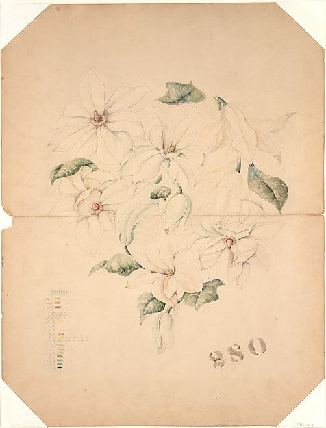 Design Drawing for Magnolia Vase c1893-Tiffany & Co., Poster Print - Wall Art