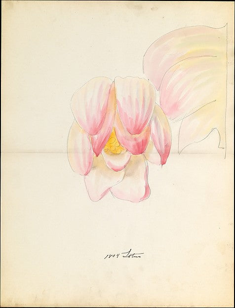 Design drawing of of lotus blossom of floral capital from logg,  Poster Print