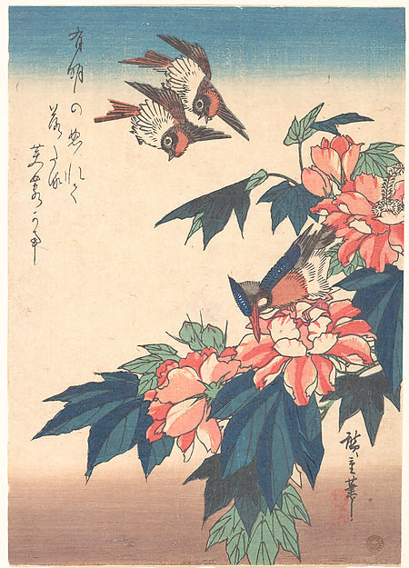 ,Swallows and Kingfisher with Rose Mallows  c1838-Uta,16x12"(A3) Poster