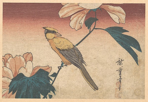 Hibiscus Mutabilis and Jay c1840-Utagawa Hiroshige 1797–1858,  Poster Print Wall Art