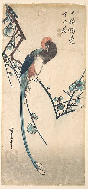 ,Long Tailed Bird-Utagawa Hiroshige 1797–1858 Tokyo ),16x12"(A3) Poster