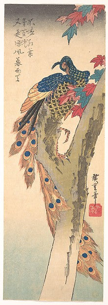,Peacock Perched on a Maple Tree c1833-Utagawa Hiros,16x12"(A3) Poster