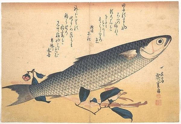 ,Bora Fish with Camellia, from the series Uozukushi,16x12"(A3) Poster