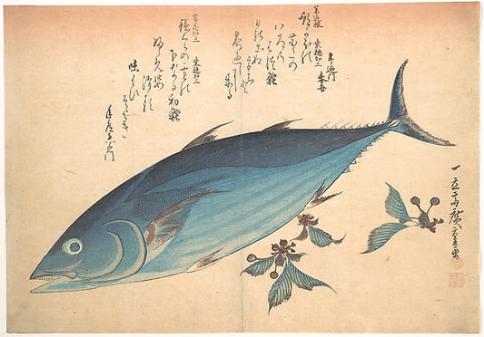 ,Katsuo Fish with Cherry Buds, from the series Uozukus,16x12"(A3) Poster