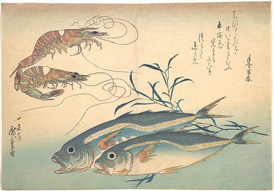 ,Aji Fish and Kuruma-ebi, from the series Uozukus,16x12"(A3) Poster