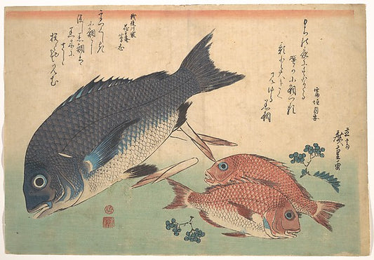 ,Kurodai and Kodai Fish with Bamboo Shoots and Be,16x12"(A3) Poster
