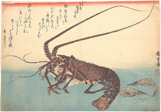 ,Ise-ebi and Shiba-ebi, from the series Uozukushi,16x12"(A3) Poster