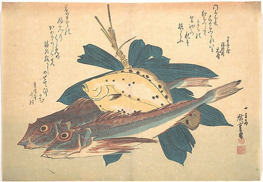 ,Kanagashira and Karei Fish, from the series U,16x12"(A3) Poster