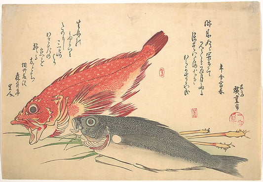 ,Isaki and Kasago Fish, from the series Uozukus,16x12"(A3) Poster