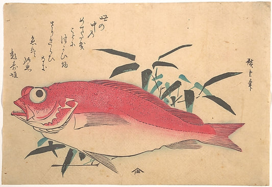,Medetai Fush and Sasaki Bamboo, from the series Uozukushi,16x12"(A3) Poster
