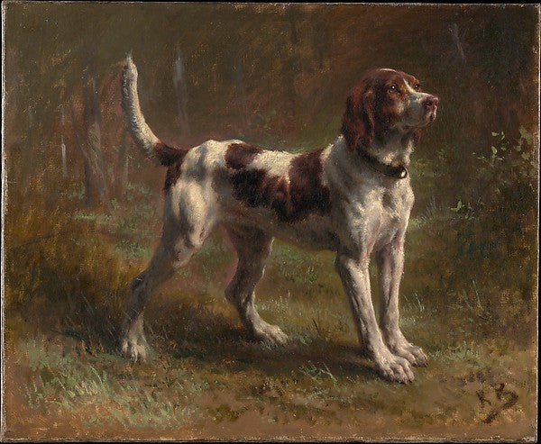 Rosa Bonheur:A Limier Briquet Hound c1856-16x12"(A3) Poster