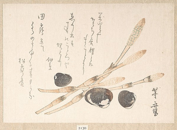 Tsukushi Plant and Shijimi Shells-Uematsu T?sh?,  Poster Print Wall Art