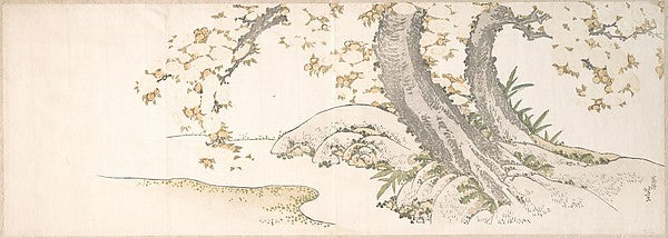 Blossoming Cherry Trees by a Stream-Katsushika Hokusai 1760–1,  Poster Print Wall Art
