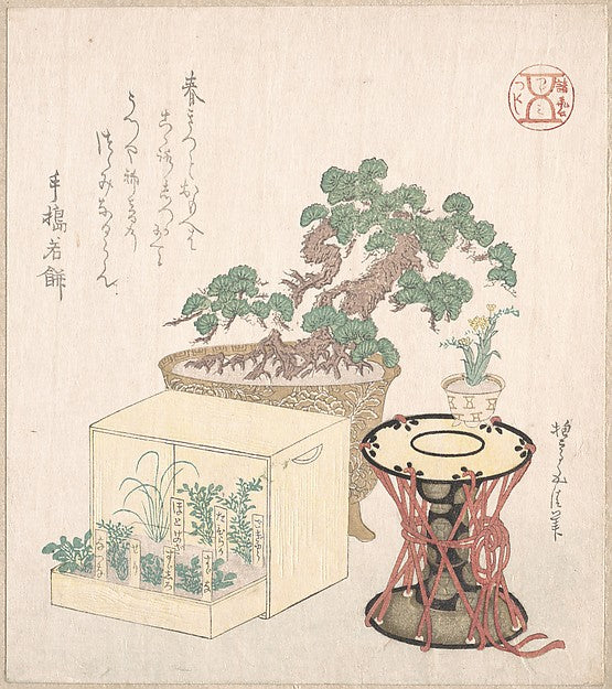 Potted Pine Tree Drum and Seven Herbs Planted in a Box 18th–19,  Poster Print Wall Art