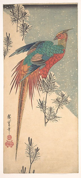 ,Golden Pheasant and Pine Shoots in Snow c1835-Ut,Classic Ming China Image,16x12"(A3) Poster