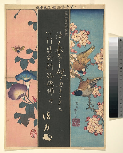 ,Bird-and-Flower Paintings c1816–20-Katsushika Ho,Classic Ming China Image,16x12"(A3) Poster