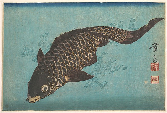 Koi c1842-Keisai Eisen, 16x12"(A3) Poster