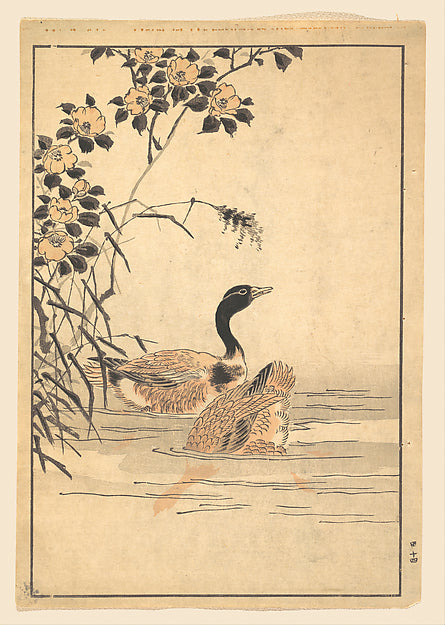 A Pair of Geese with Camellias 1857-Unidentified Artist Japane,16x12"(A3) Poster