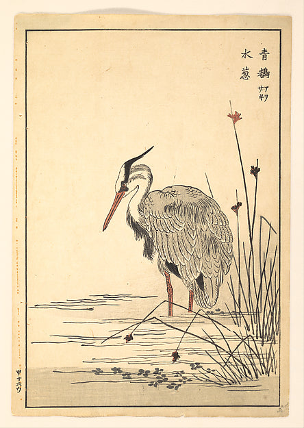 Gray Heron and Mizu-aoi Plant 1857-Unidentified Artist Japane,  Poster Print
