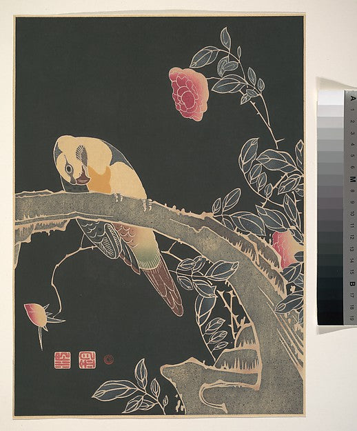 Parrot on the Branch of a Flowering Rose Bush c1900-It? Jakuch,  Poster Print