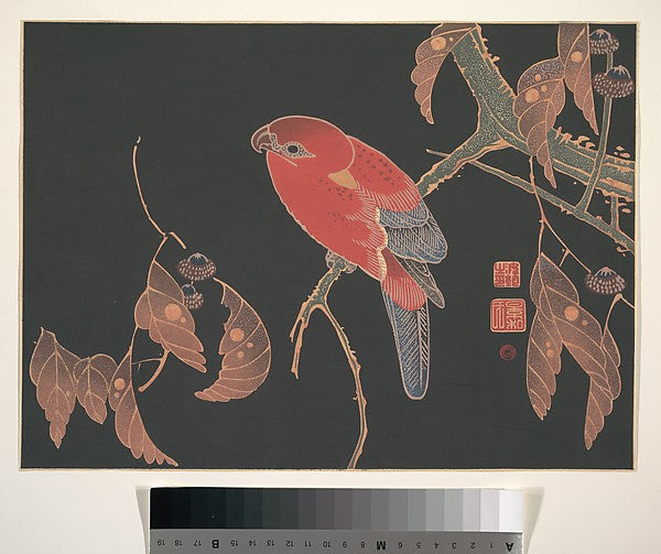 Red Parrot on the Branch of a Tree c1900-It? Jakuch?,  Poster Print