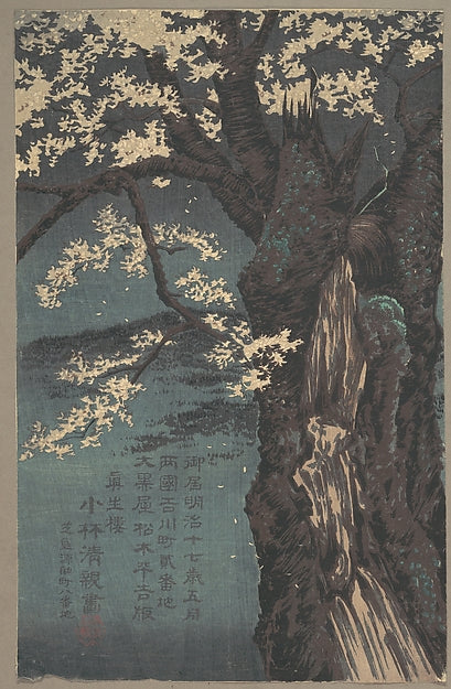 Cherry Tree dated 1874-Kobayashi Kiyochika,  Poster Print