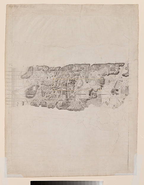 Topographical Map of the City and County of New-York and the A,  Poster Print Wall Art