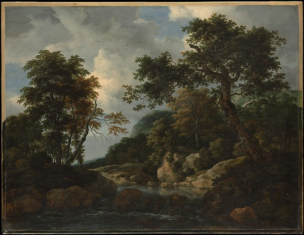 Jacob van Ruisdael:The Forest Stream c1660-16x12"(A3) Poster