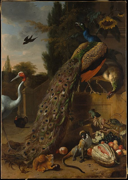 Melchior d' Hondecoeter:Peacocks 1683-16x12"(A3) Poster