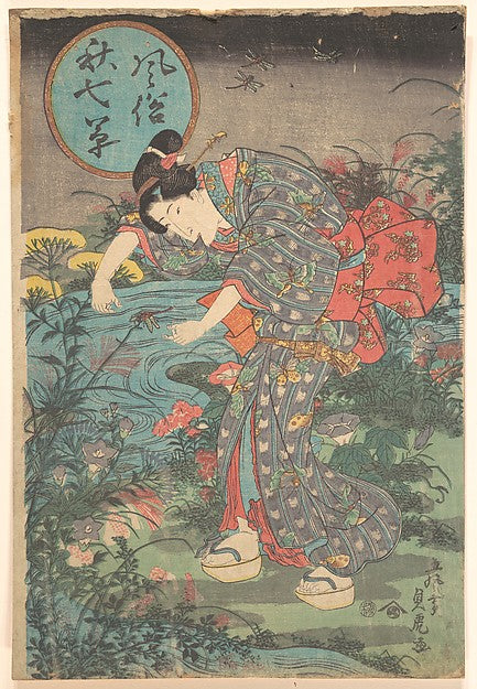 Fashionable Seven Autumn Plants first half of the 19th cent-T,  Poster Print Wall Art