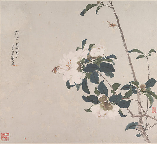 ,Insects and Flowers-Ju Lian, 16x12"(A3) Poster