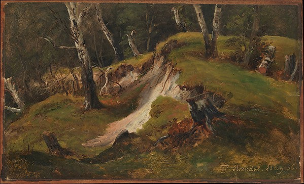 Thomas Fearnley:Escarpment with Tree Stumps Romsdal 1836-16x12"(A3) Poster