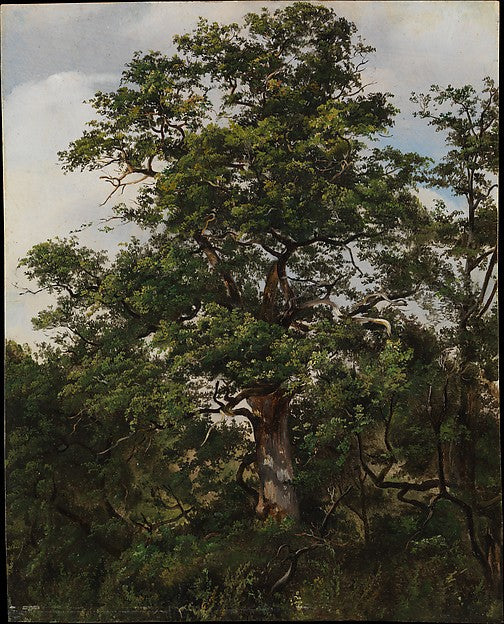 :Tapir from the Zoo Animals series issued by the Philadelphi-16x12"(A3) Poster