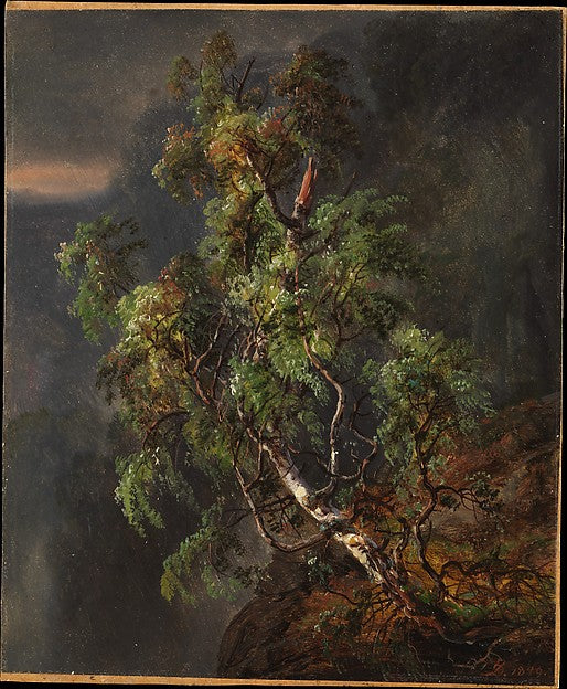 Johan Christian Dahl:Birch Tree in a Storm 1849-16x12"(A3) Poster